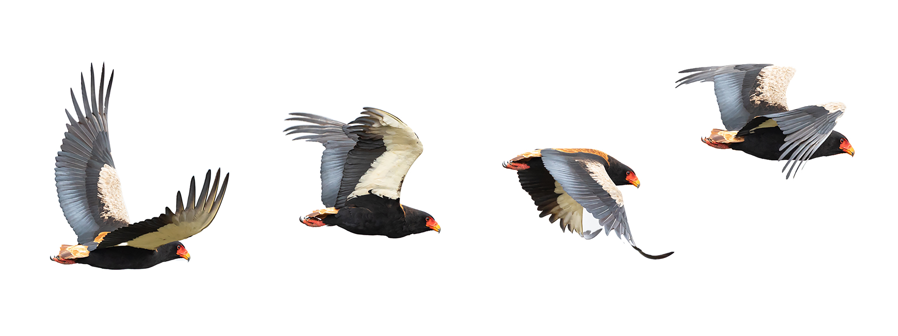 slider-13.jpg